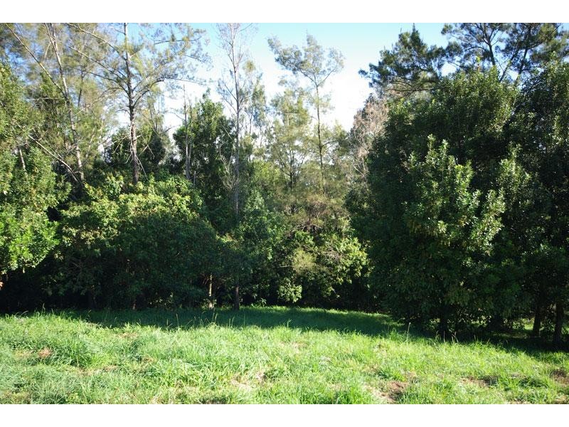 #17 Byrne Road, Rosebank NSW 2480