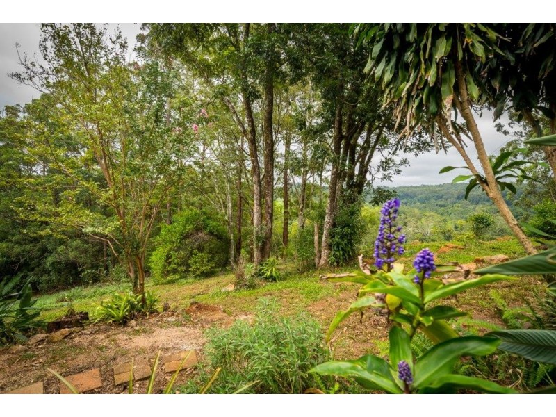 2448 Dunoon Road, Rosebank NSW 2480