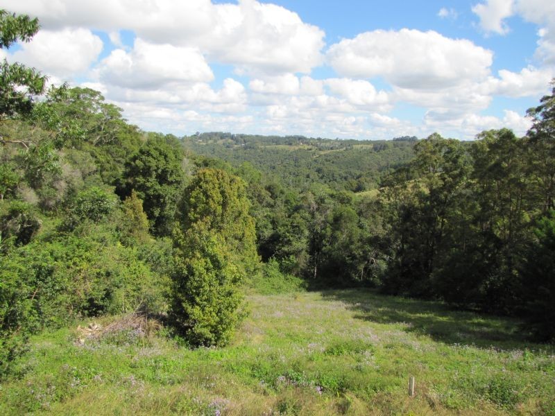 2448 Dunoon Road, Rosebank NSW 2480