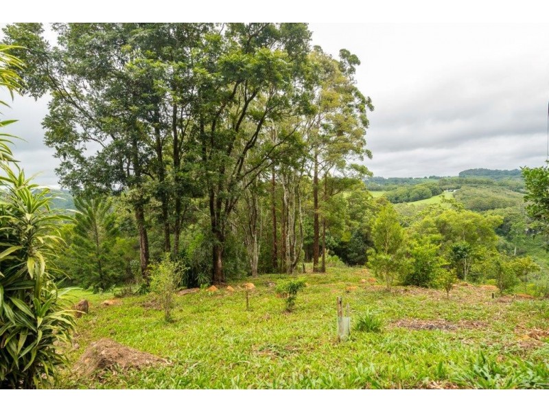 2448 Dunoon Road, Rosebank NSW 2480
