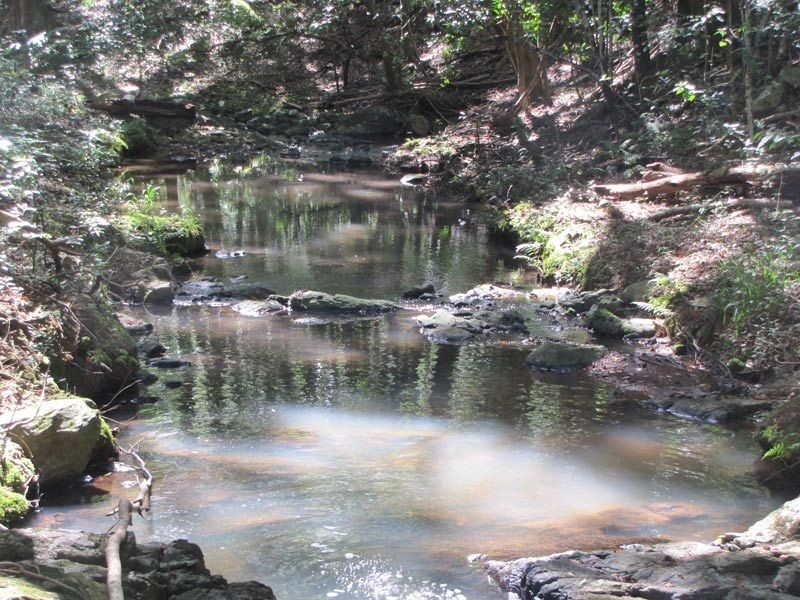 Coorabell NSW 2479