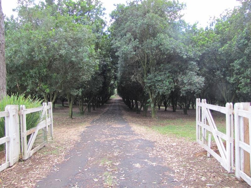 Fernleigh NSW 2479