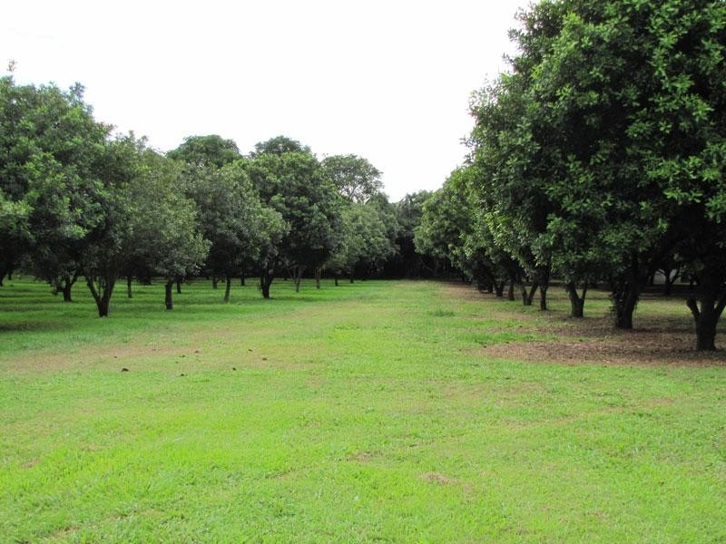 Fernleigh NSW 2479