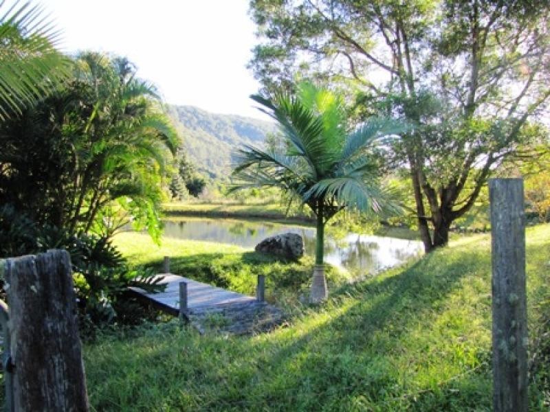 Wilsons Creek NSW 2482