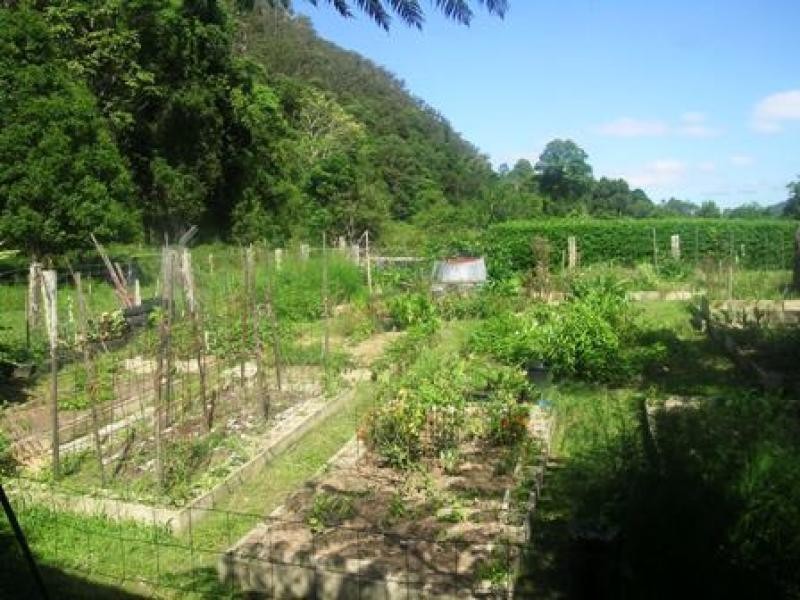 Wilsons Creek NSW 2482