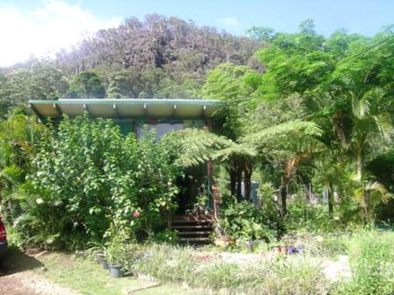 Wilsons Creek NSW 2482