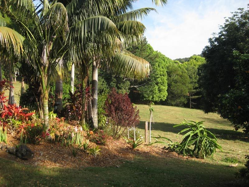 96 Repentance Creek Road, Rosebank NSW 2480