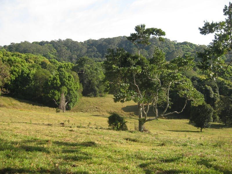 96 Repentance Creek Road, Rosebank NSW 2480