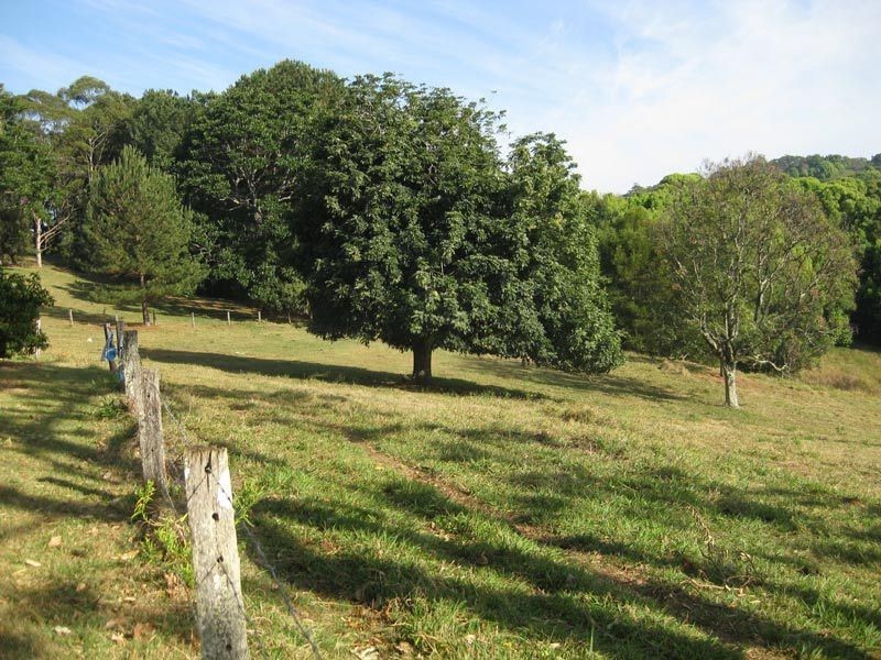 96 Repentance Creek Road, Rosebank NSW 2480