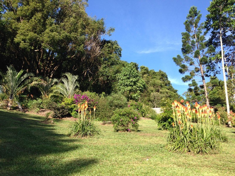 499 Binna Burra Road, Federal NSW 2480