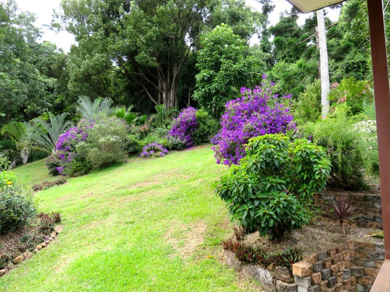 499 Binna Burra Road, Federal NSW 2480