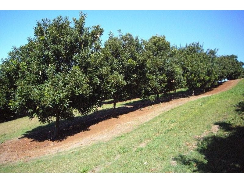 107 Eureka Road, Rosebank NSW 2480