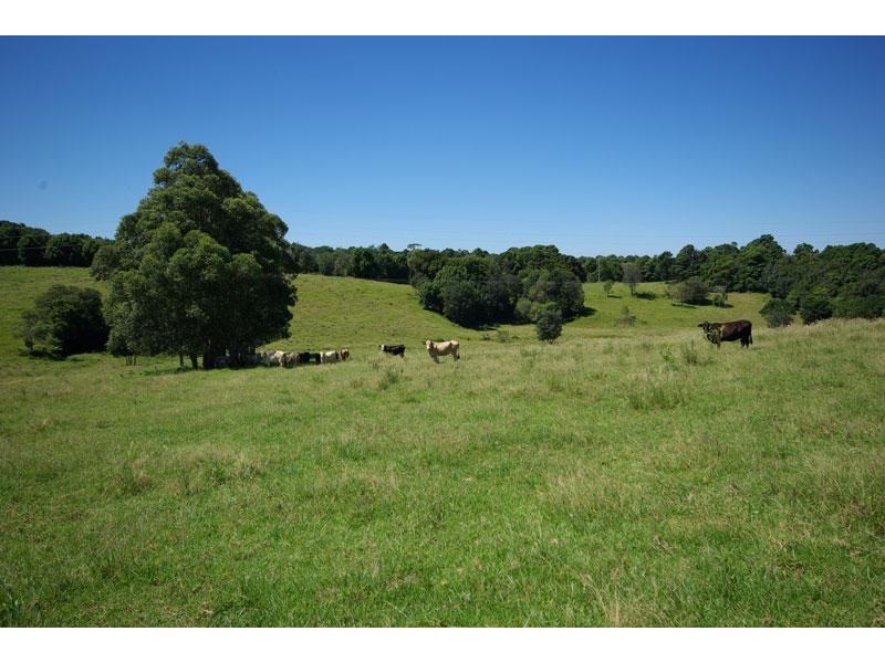 Coopers Shoot NSW 2479