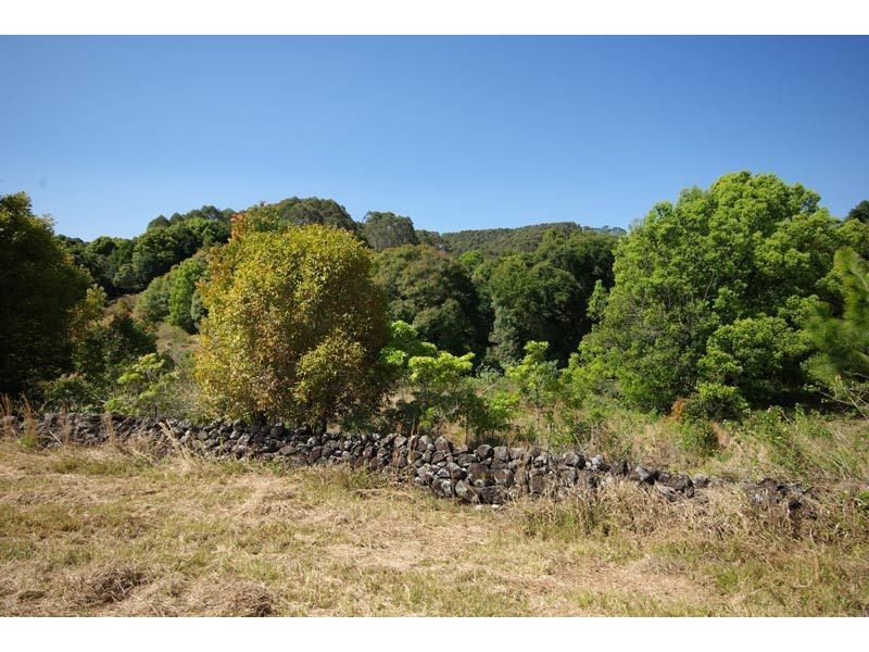 Lot 5 Keys Gardens, Coorabell NSW 2479