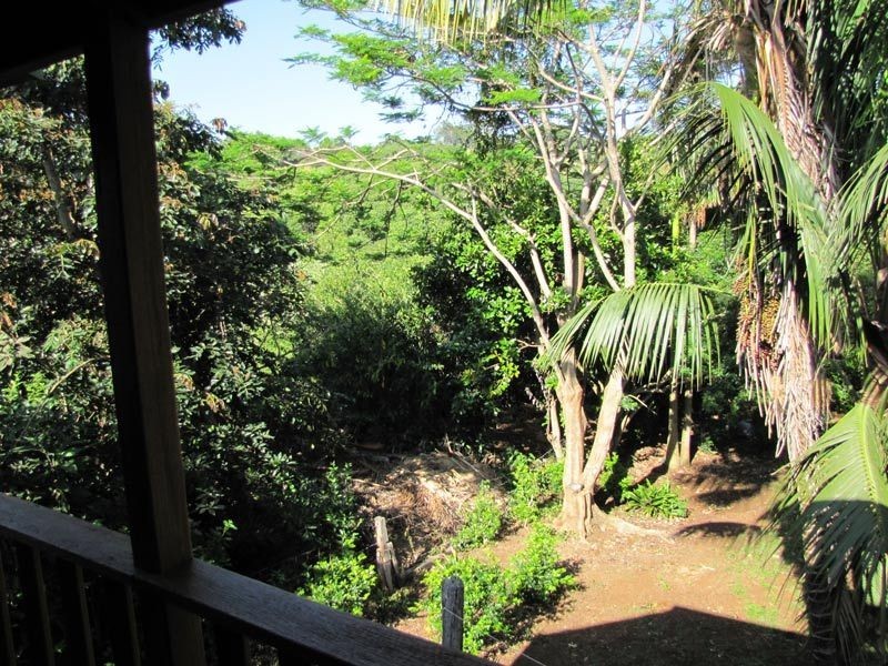 Lot 1 Federal Drive, Federal NSW 2480