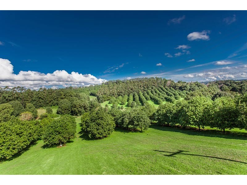 # 186 Eureka Road, Eureka NSW 2480