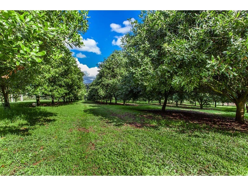 # 186 Eureka Road, Eureka NSW 2480