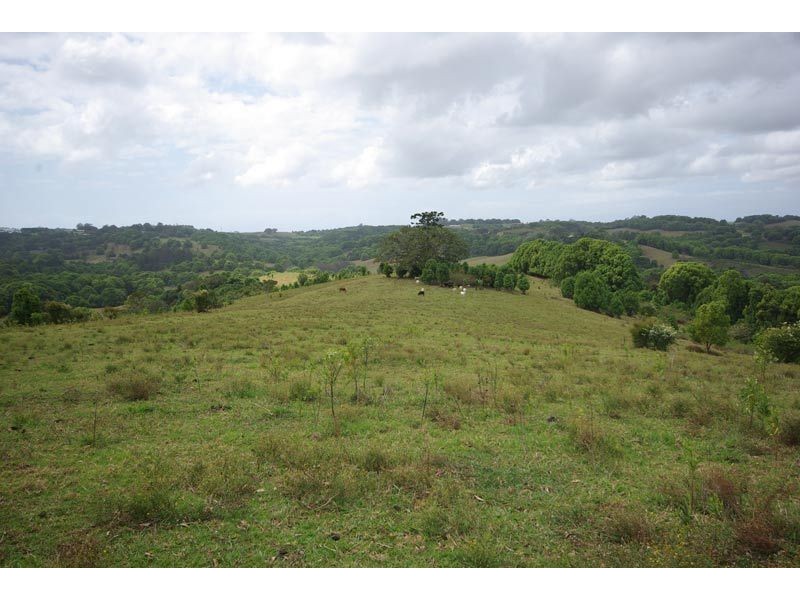 Lot 30 Friday Hut Road, Possum Creek NSW 2479
