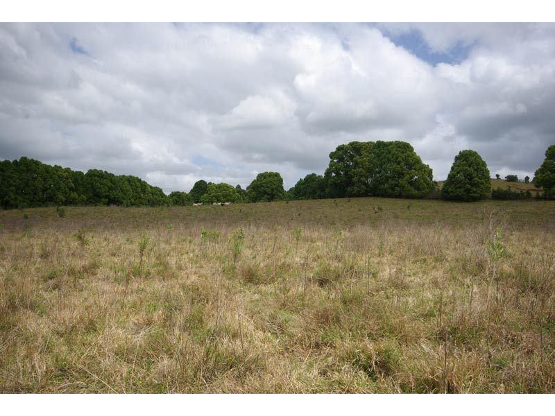 Lot 30 Friday Hut Road, Possum Creek NSW 2479