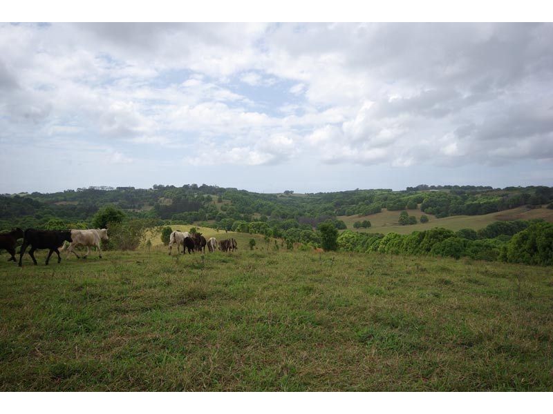 Lot 30 Friday Hut Road, Possum Creek NSW 2479