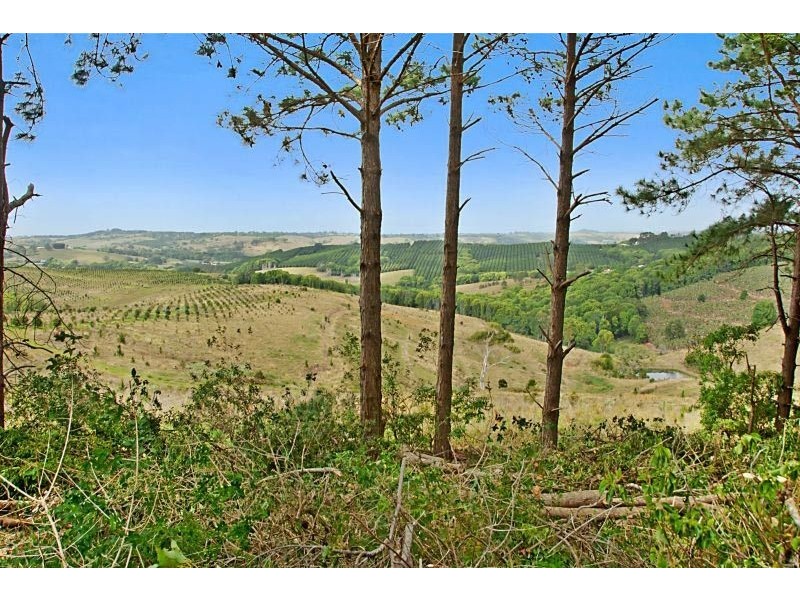 Lot 1 Pacific Highway, Bangalow NSW 2479