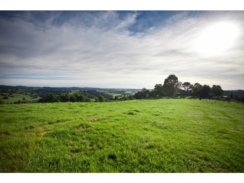 138 Hull Road, Rosebank NSW 2480