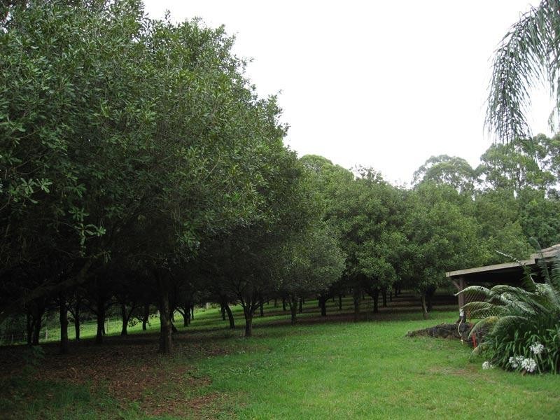 2364D Dunoon Road, Rosebank NSW 2480