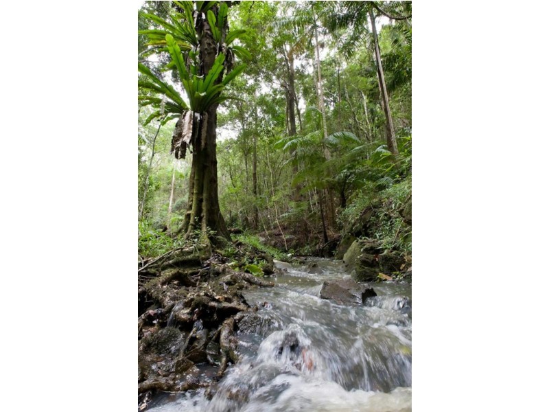 Coopers Shoot NSW 2479