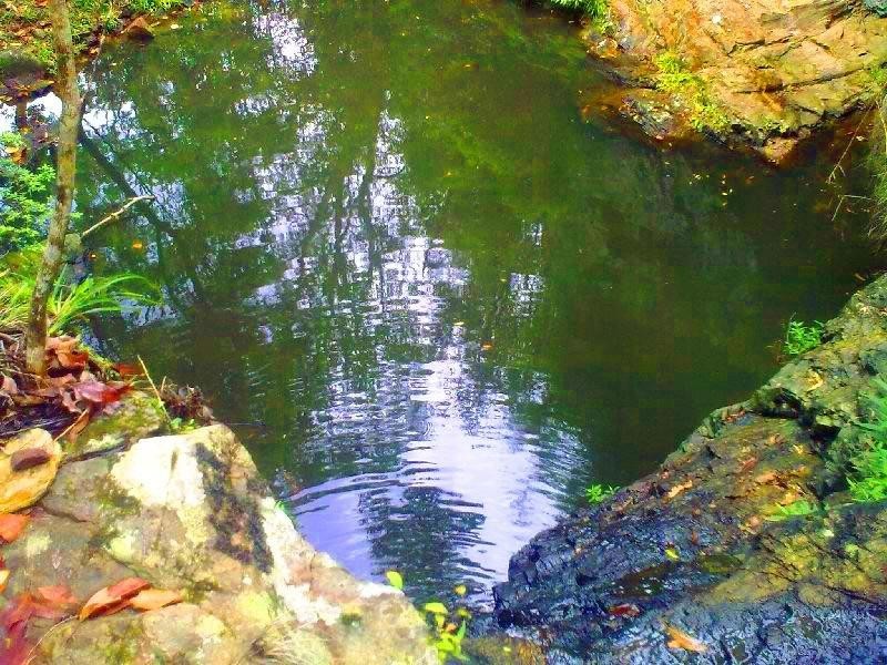 Coopers Shoot NSW 2479