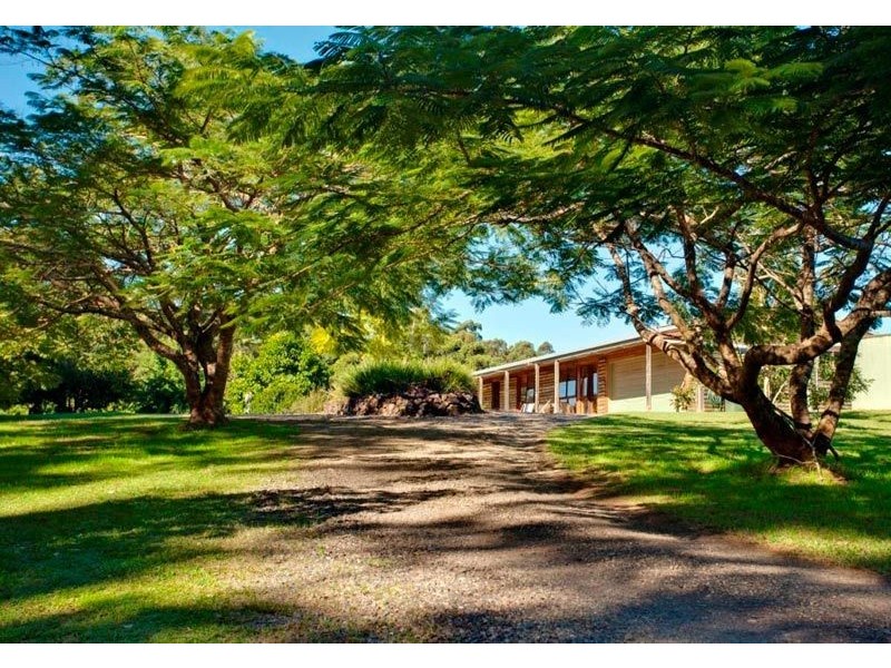 206 Repentance Creek Road, Rosebank NSW 2480