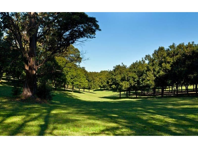 206 Repentance Creek Road, Rosebank NSW 2480