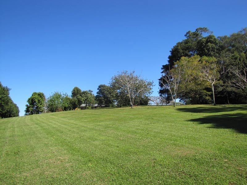 206 Repentance Creek Road, Rosebank NSW 2480