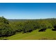 206 Repentance Creek Road, Rosebank NSW 2480