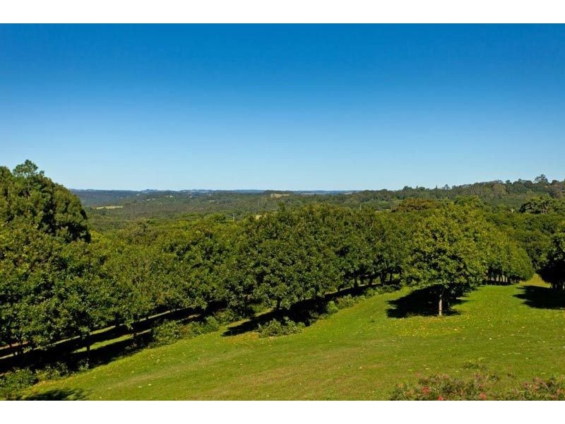 206 Repentance Creek Road, Rosebank NSW 2480