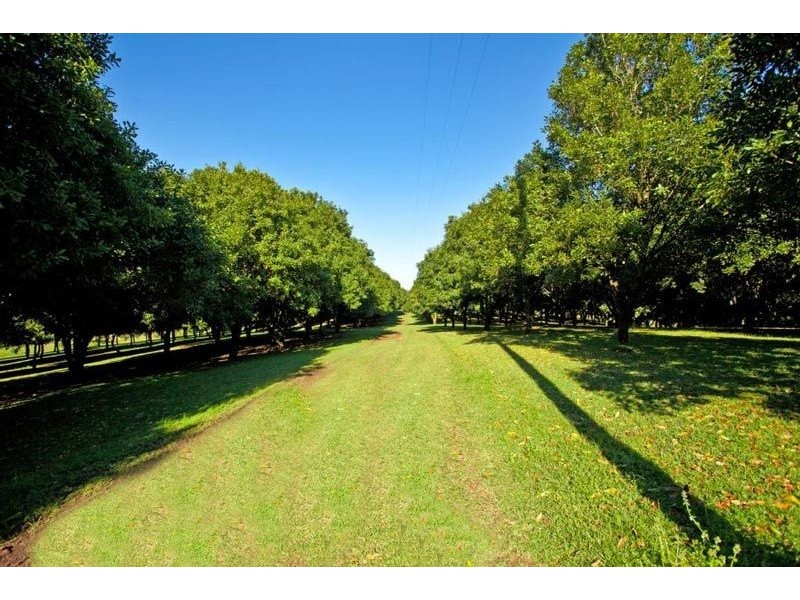 206 Repentance Creek Road, Rosebank NSW 2480