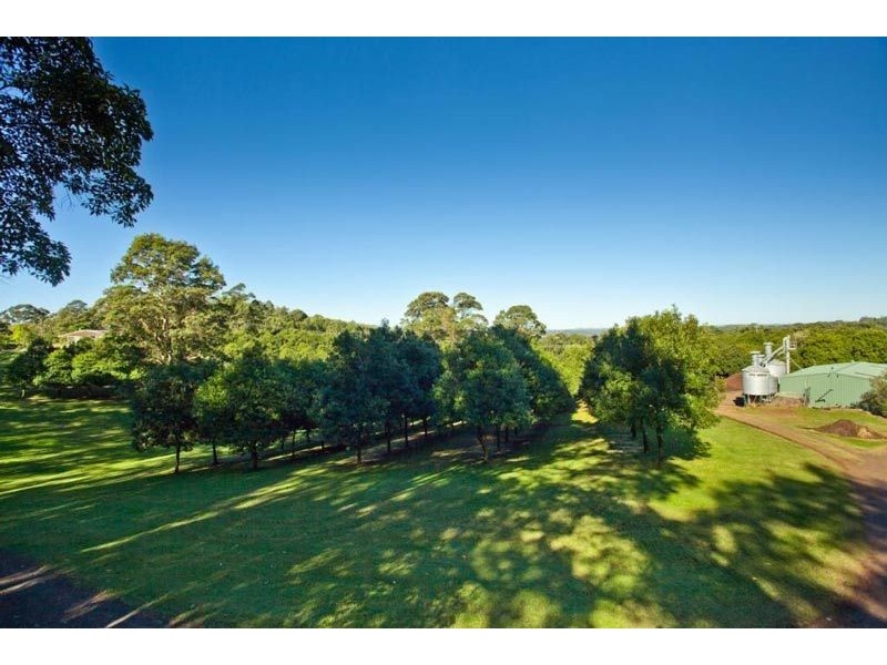 206 Repentance Creek Road, Rosebank NSW 2480