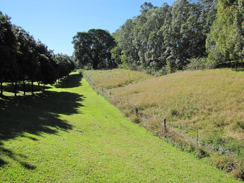 206 Repentance Creek Road, Rosebank NSW 2480