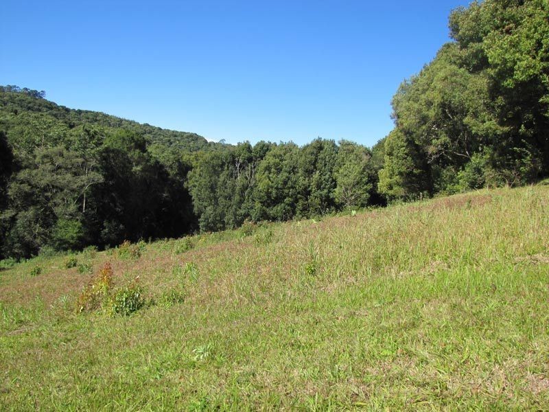 206 Repentance Creek Road, Rosebank NSW 2480