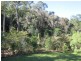206 Repentance Creek Road, Rosebank NSW 2480