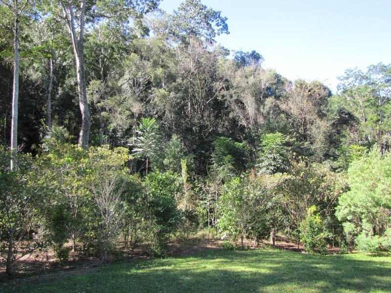 206 Repentance Creek Road, Rosebank NSW 2480