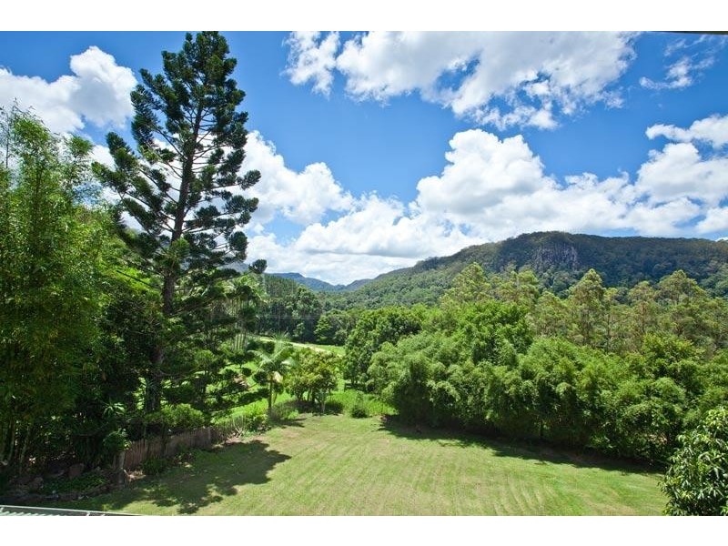 Wilsons Creek NSW 2482