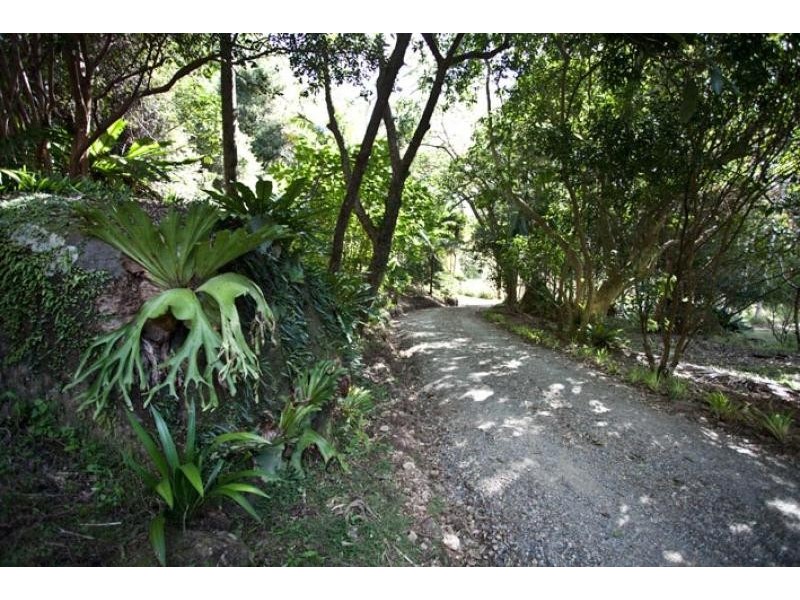 Wilsons Creek NSW 2482