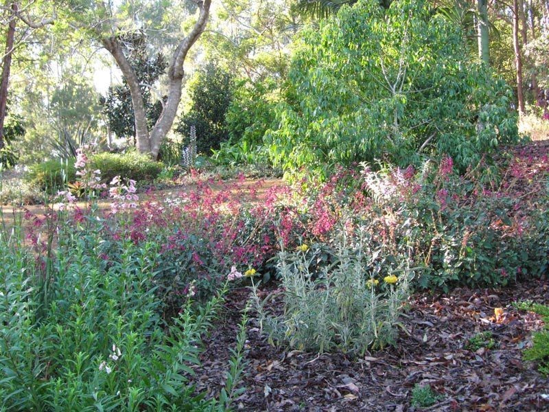 31 Nelson Chase, Tuckombil NSW 2477