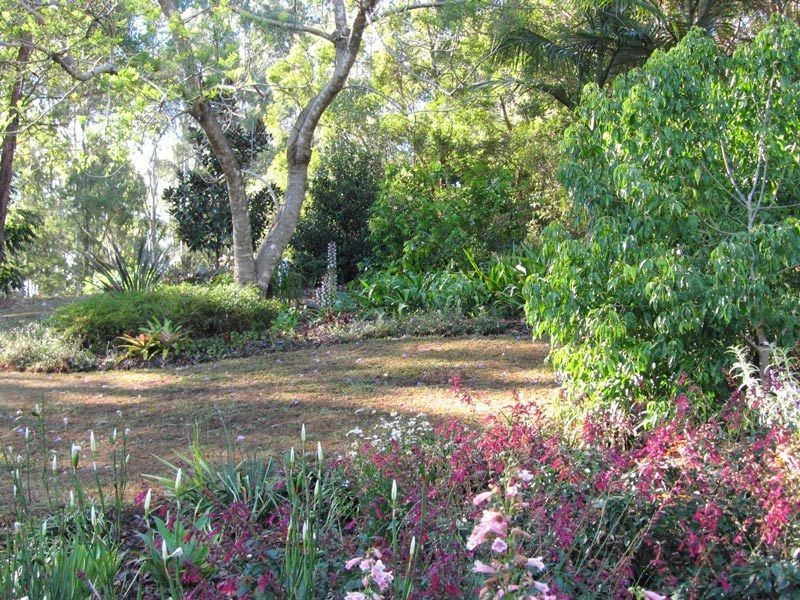 31 Nelson Chase, Tuckombil NSW 2477