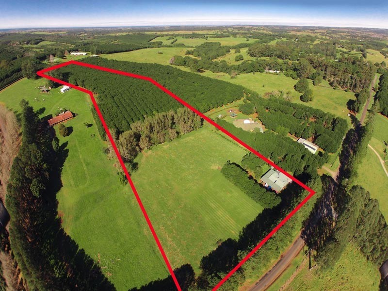 814 Fernleigh Road, Brooklet NSW 2479