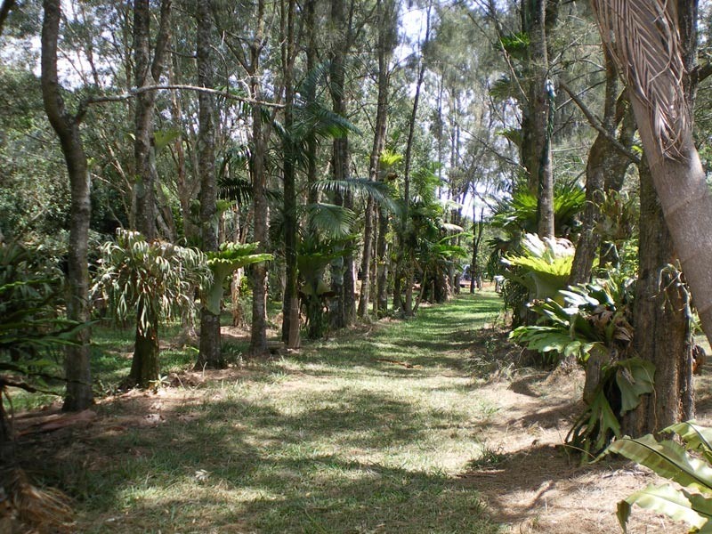 814 Fernleigh Road, Brooklet NSW 2479