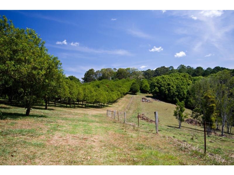 412 Repentance Creek Road, Rosebank NSW 2480