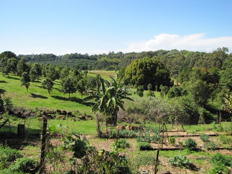 2468 Dunoon Road, Rosebank NSW 2480