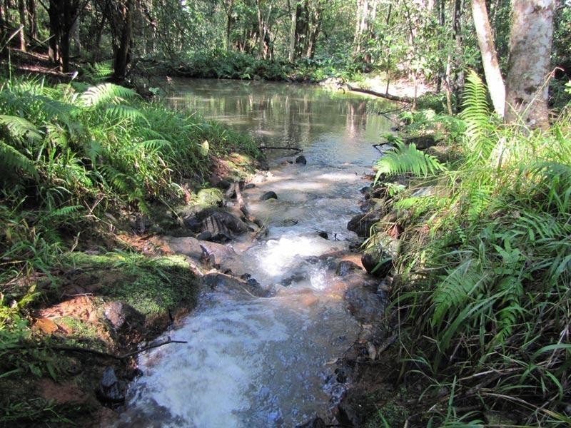 2468 Dunoon Road, Rosebank NSW 2480