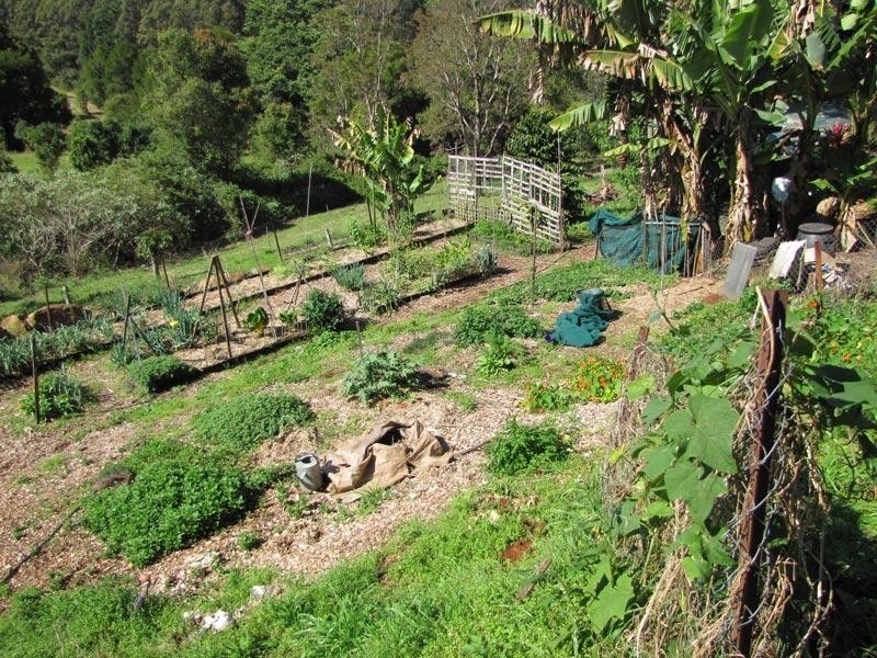 2468 Dunoon Road, Rosebank NSW 2480